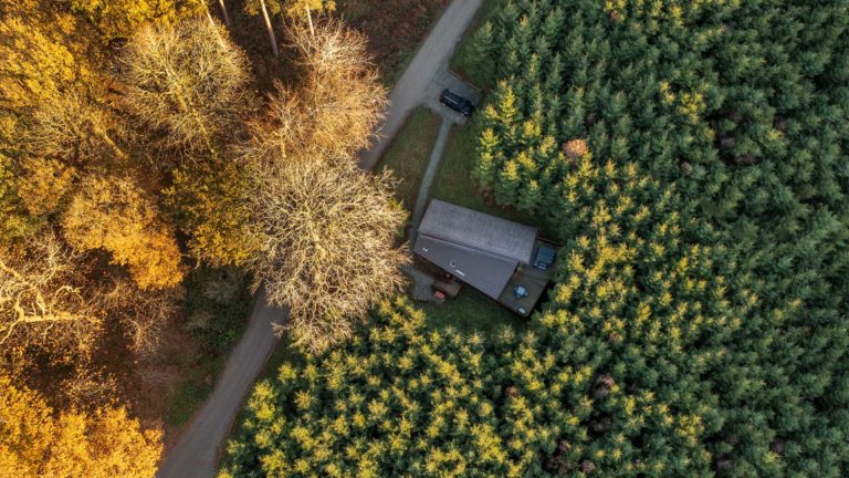 Aerial shot of Forest Holidays caption